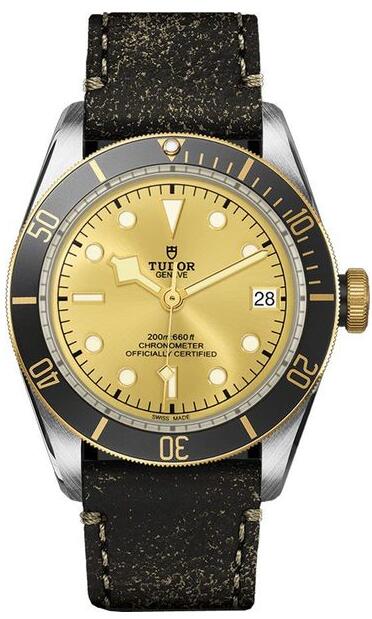 Tudor Heritage Black Bay M79733N-0003 41mm Champagne Dial Replica watch